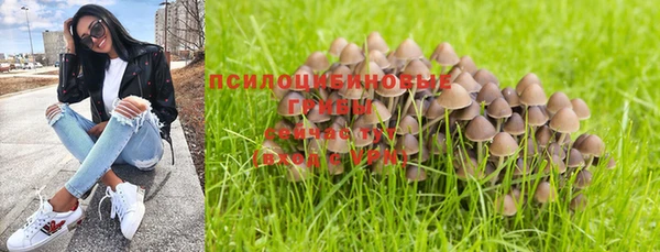 ГАЛЛЮЦИНОГЕННЫЕ ГРИБЫ Алзамай