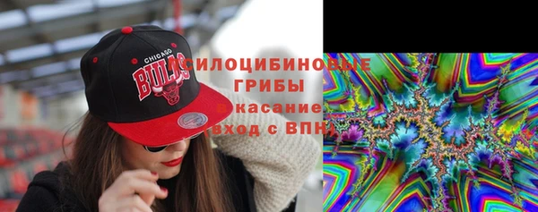 стафф Алексеевка