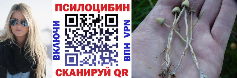 Псилоцибиновые грибы Cubensis  Джанкой 